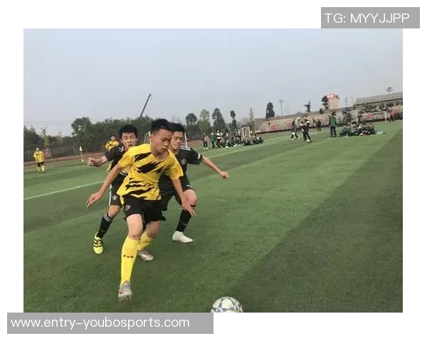 追逐梦想的绿茵旅程足球小说在路上的青春与奋斗